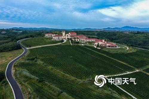 白露为霜 葡萄飘香——“中国天气”品牌赋能乡村振兴《白露节气全国吃葡萄地图》今日发布