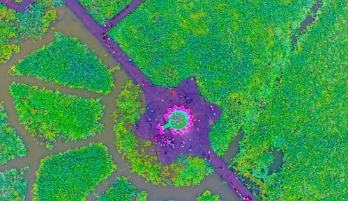 聚焦楚风汉韵山水之城 打造淮南特色“节气金名片” ——“中国天气”品牌赋能乡村振兴秋分节气发布会即将召开