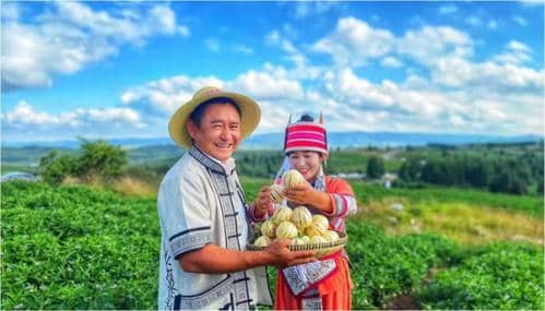 又到一年丰收时！秋分节气全国名优特产品名录发布 时令好物等你来尝