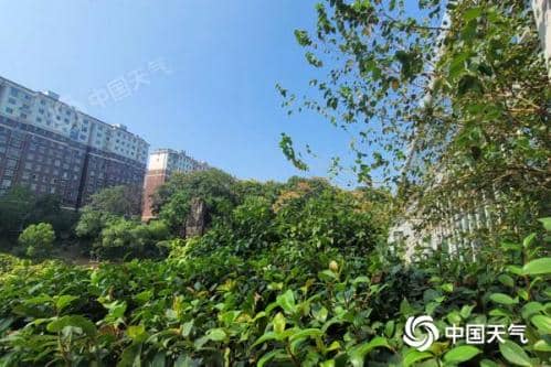 湖南明后天风雨降温齐至 国庆假期以晴主体感凉爽