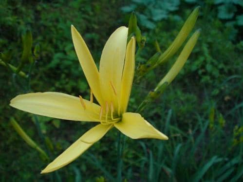 正是橙黄橘绿时！寒露节气全国名优特产品名录发布 品尝秋天的味道