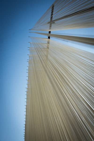 寒露风物 秋意浓情——“中国天气”公益助农寒露名录发布