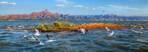 遇见最美秋天！寒露节气生态文旅品牌名录出炉 秋日出游正当时