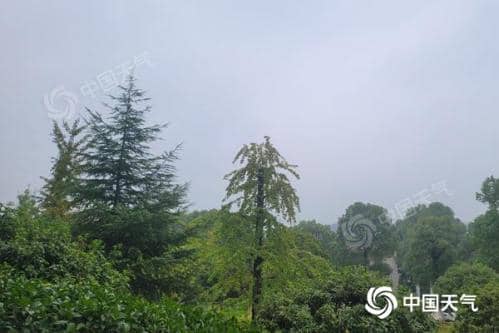 湖南未来三天降雨频繁体感湿凉 部分地区有中到大雨局地暴雨