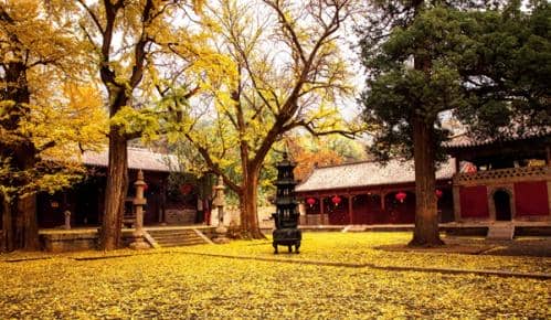 秋之终章冬之序曲 米谷满仓秋色斑斓——“中国天气”公益助农霜降名录发布